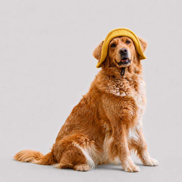 La Guinguette · Chapeau de soleil pour chien