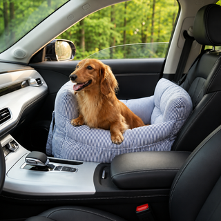 Panier de voiture Le Roadtrip pour chien, rayures bleues, Maison Pattounes