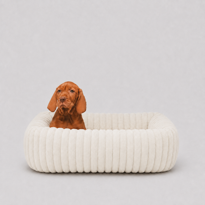 Le Cocon · Panier moelleux pour chien