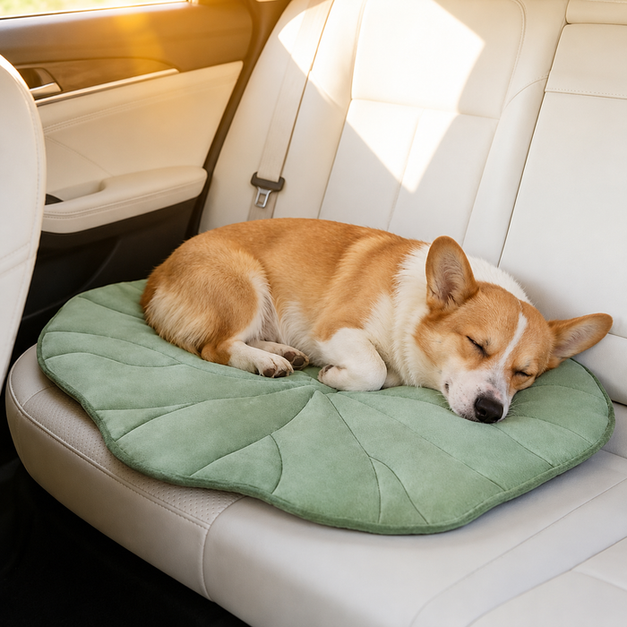 Tapis rafraîchissant Le Nénuphar pour chien, Maison Pattounes, vue 1