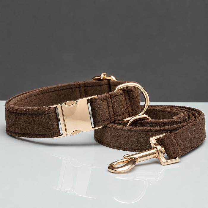 La Parade · Ensemble collier et laisse pour chien
