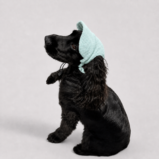 La Capeline · Casquette de soleil pour chien