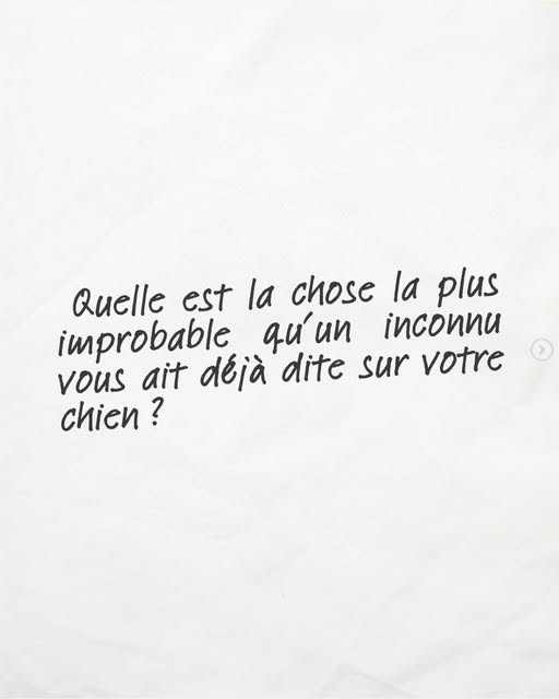 Texte manuscrit sur fond blanc : « Quelle est la chose la plus improbable qu'un inconnu vous ait déjà dite sur votre chien ? »