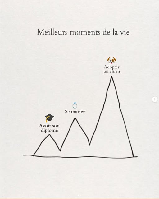 Graphique manuscrit « Meilleurs moments de la vie » : la courbe culmine sur « Adopter un chien », devant « Se marier » et « Avoir son diplôme ».