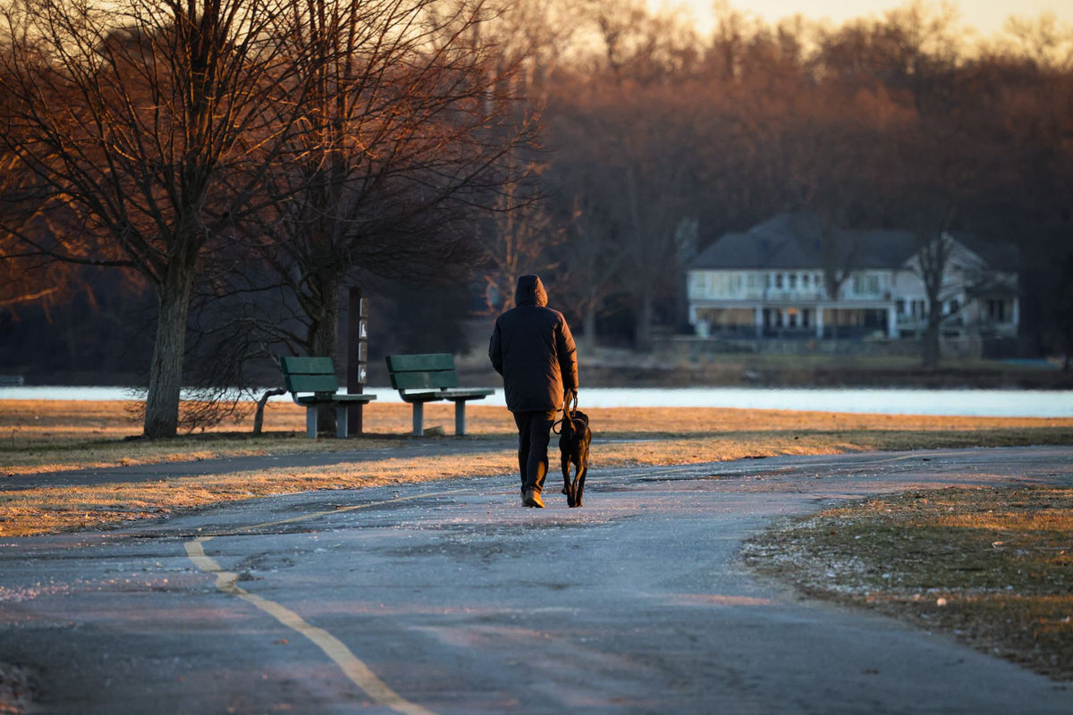 Promeneur et chien noir sur une allée de parc à la tombée du jour en automne
