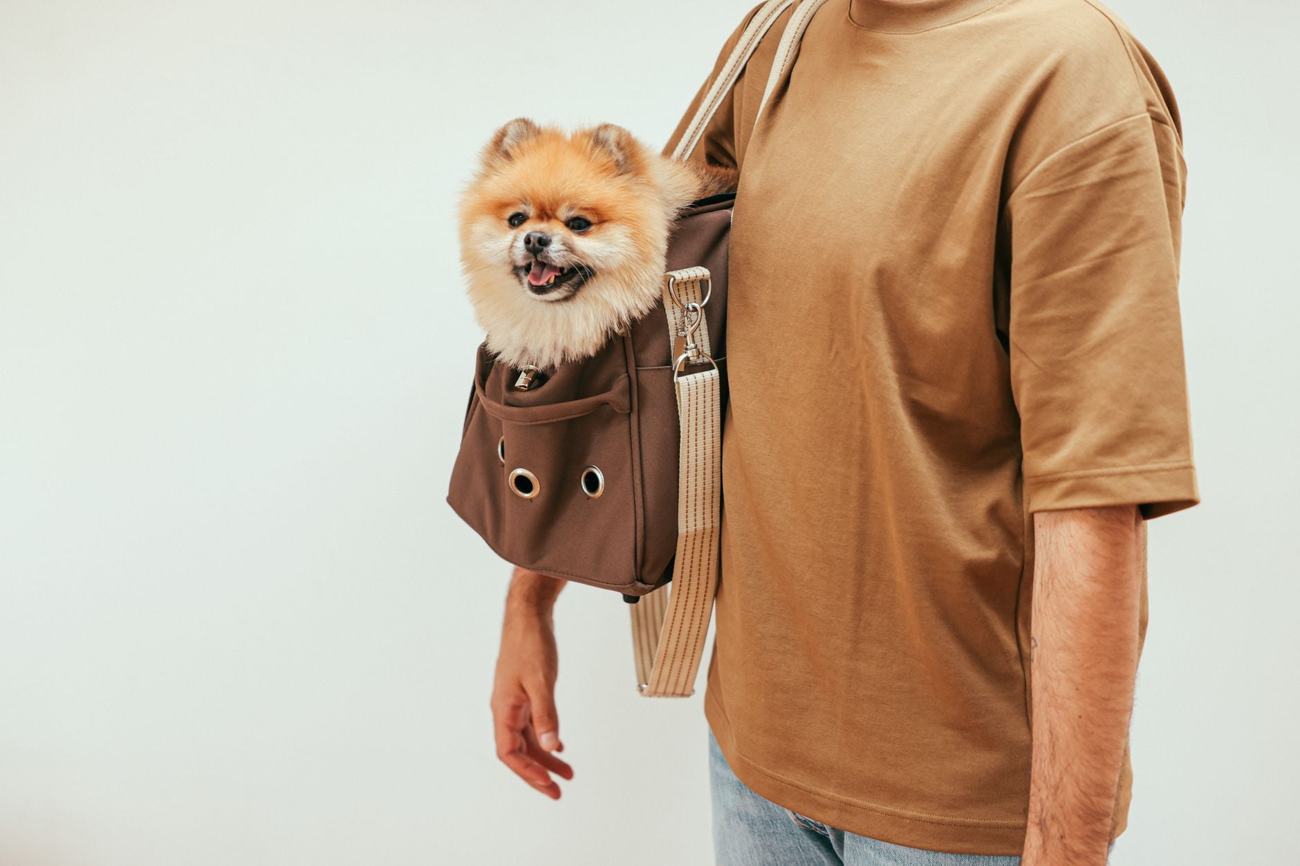 Petit chien spitz installé dans un sac de transport porté en bandoulière par sa maîtresse