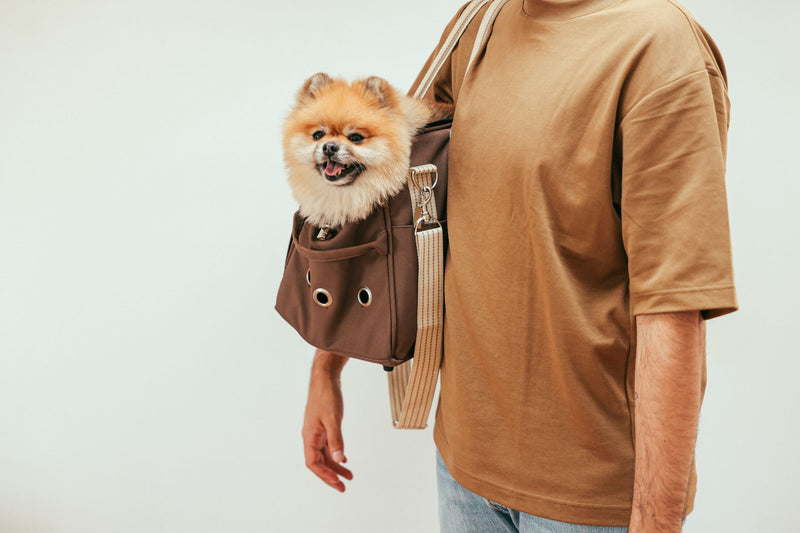 Quel sac de transport choisir selon la taille et la race de votre chien
