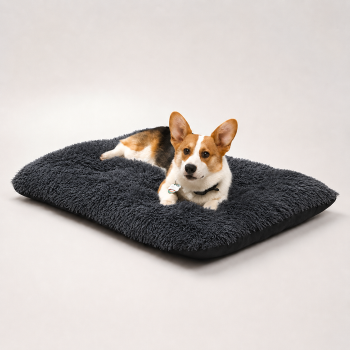Lit moelleux Le Nuage pour chien, coloris Gris anthracite, Maison Pattounes, vue 1