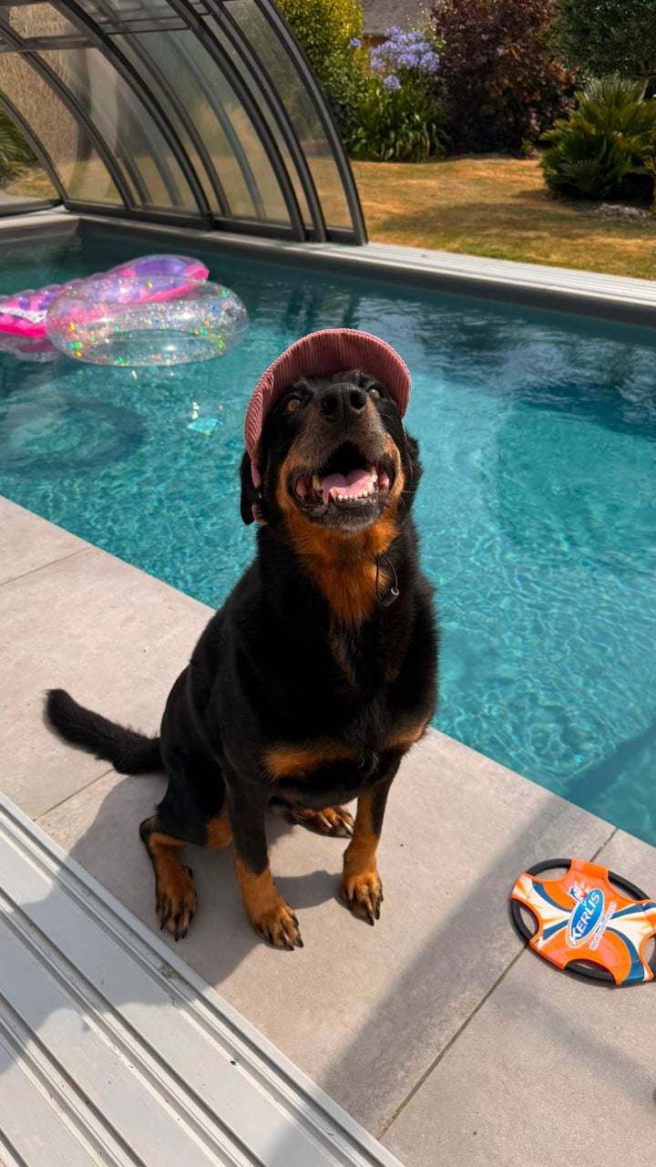 La Capeline · Casquette de soleil pour chien