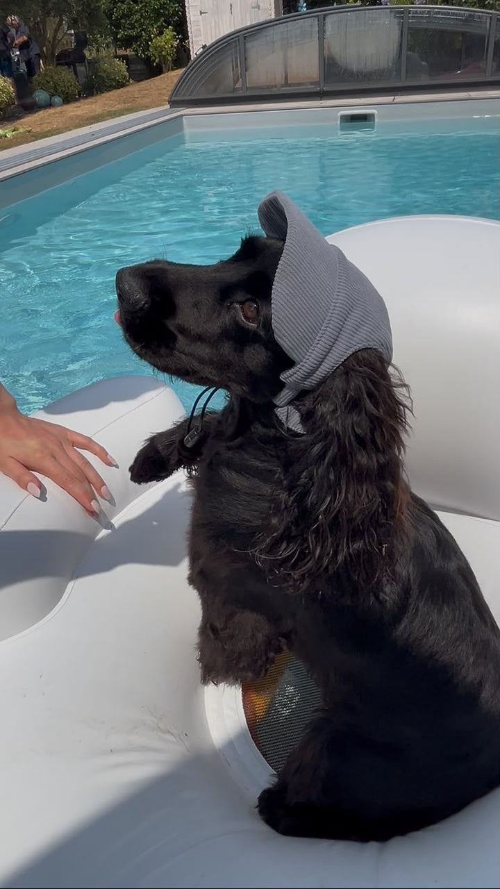 La Capeline · Casquette de soleil pour chien