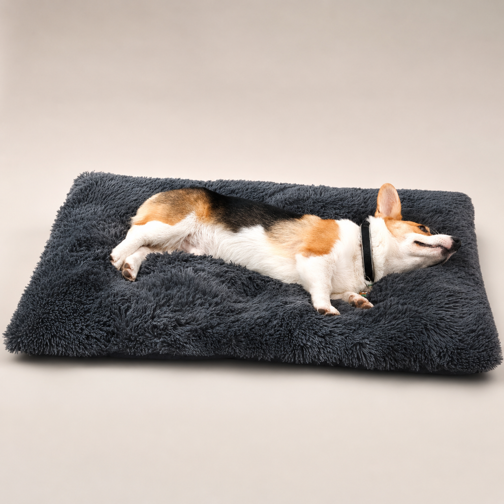 Lit moelleux Le Nuage pour chien, coloris Gris anthracite, Maison Pattounes, vue 2