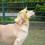 La Guinguette — Chapeau de soleil pour chien