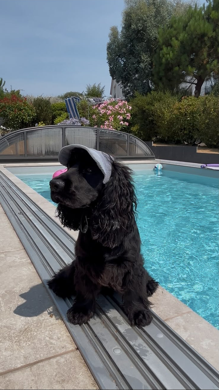 La Capeline · Casquette de soleil pour chien