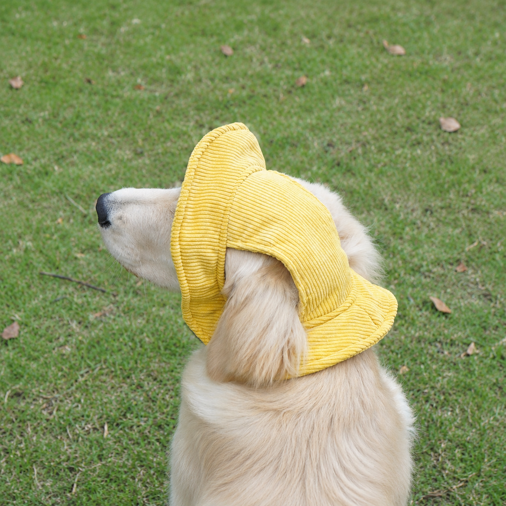 La Guinguette — Chapeau de soleil pour chien