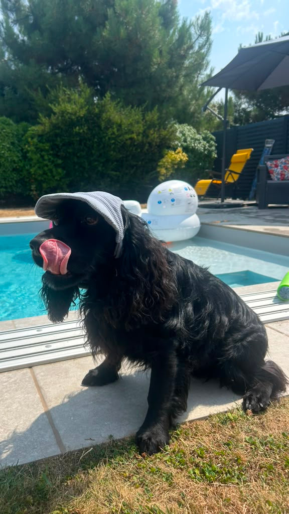 La Capeline · Casquette de soleil pour chien