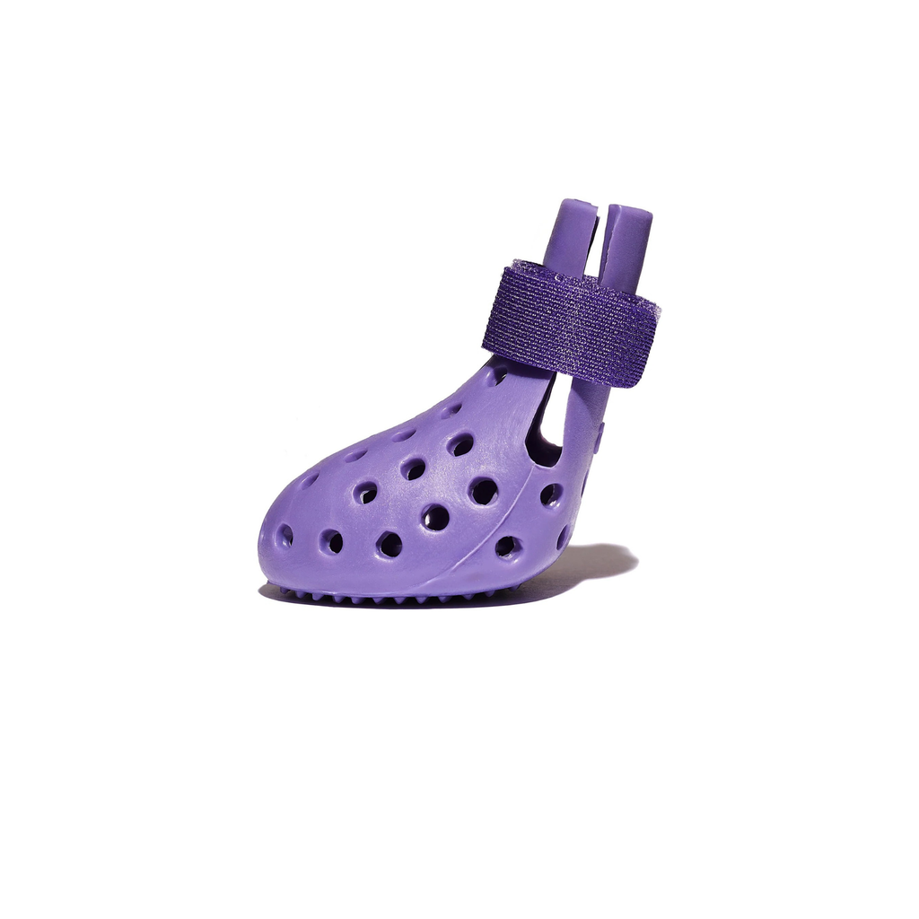Bottes pour chien Maison Pattounes — visuel signature