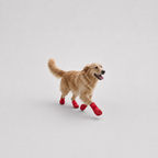 La Bottine · Bottes de protection pour chien