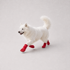 La Bottine · Bottes de protection pour chien