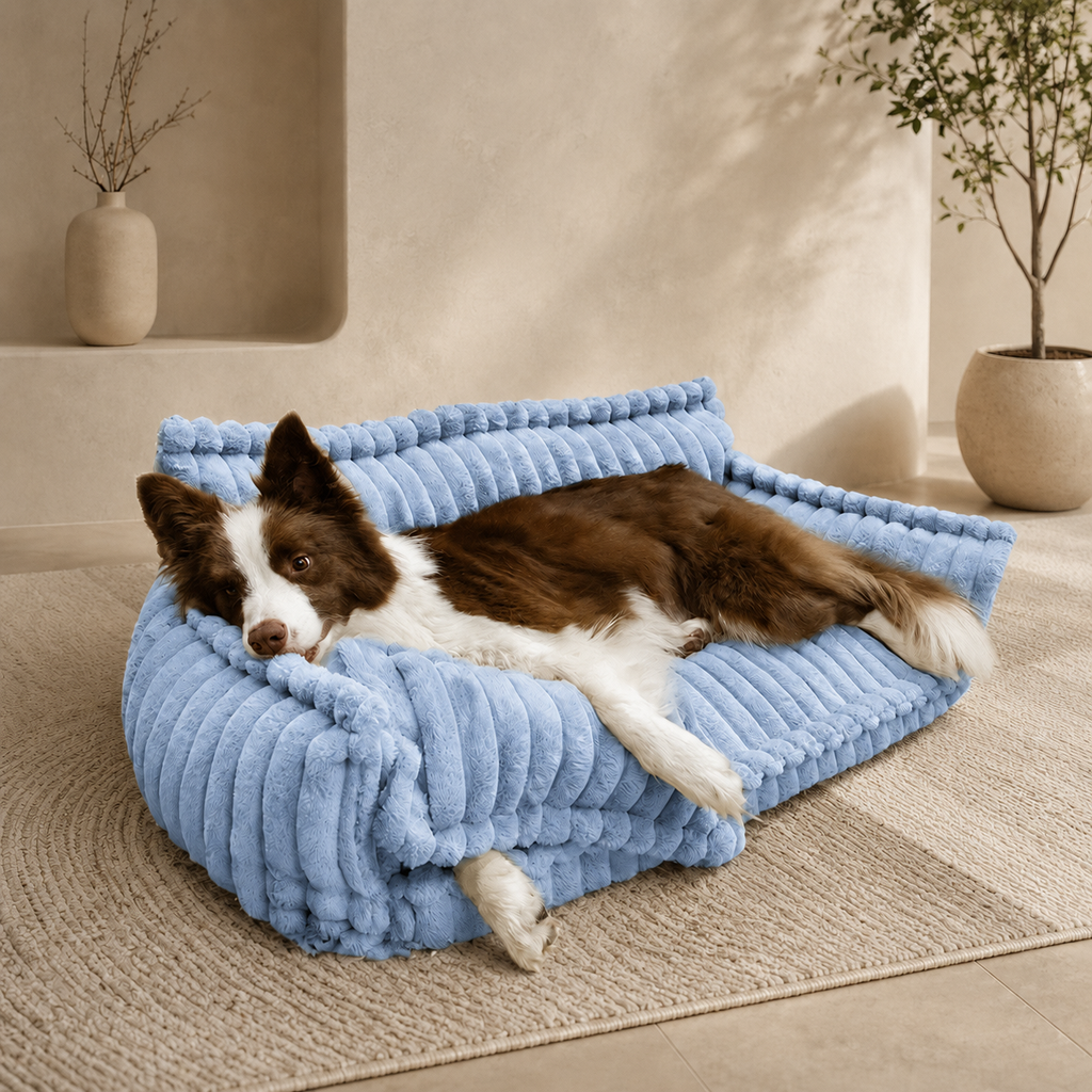 Canapé moelleux Le Boudoir pour chien, coloris Bleu, Maison Pattounes