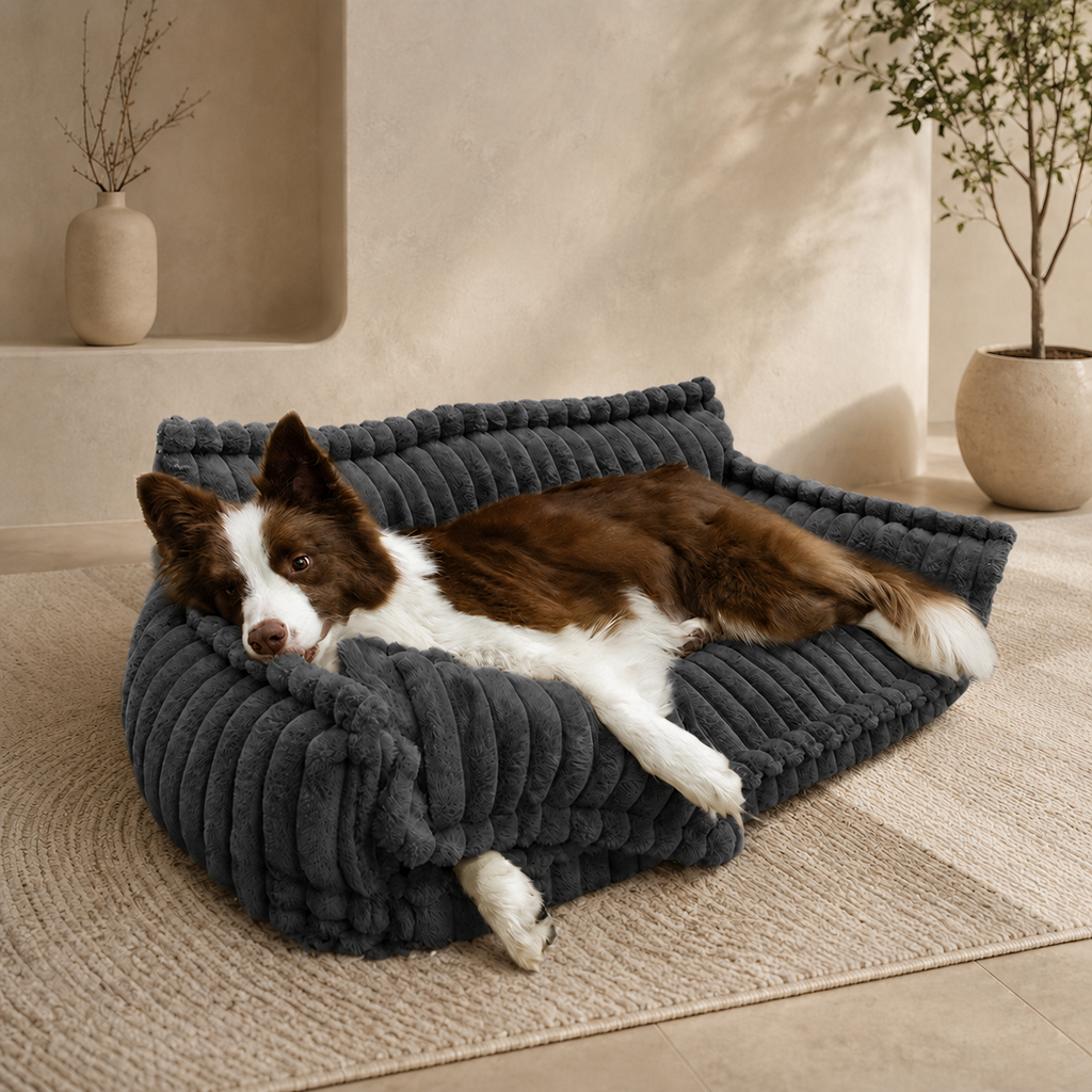 Canapé moelleux Le Boudoir pour chien, coloris Gris foncé, Maison Pattounes