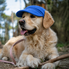 Casquette de soleil La Capeline pour chien, coloris Bleu sauge, Maison Pattounes