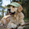 Casquette de soleil La Capeline pour chien, coloris Vert sauge, Maison Pattounes