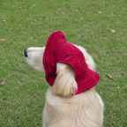 Chapeau de soleil La Guinguette pour chien, coloris Bordeaux, Maison Pattounes, vue 1