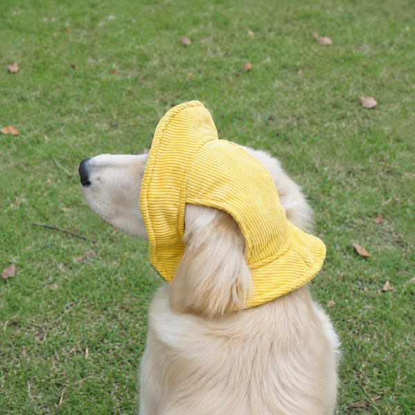 Chapeau de soleil La Guinguette pour chien, coloris Jaune, Maison Pattounes, vue 1