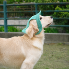 Chapeau de soleil La Guinguette pour chien, coloris Vert, Maison Pattounes, vue 4