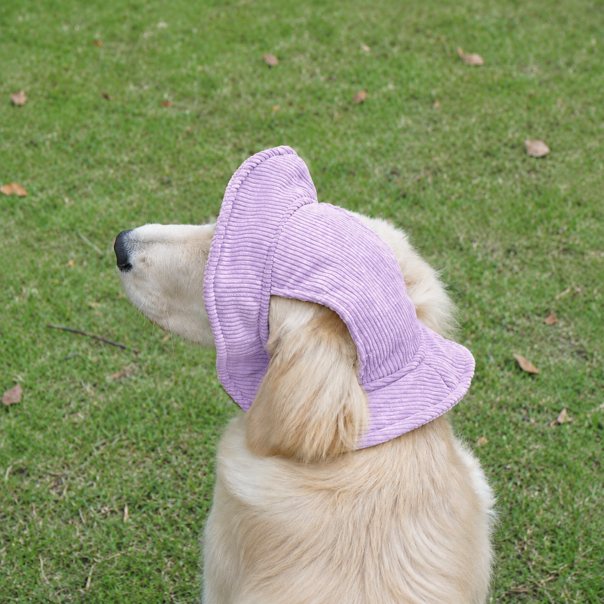 Chapeau de soleil La Guinguette pour chien, coloris Violet, Maison Pattounes, vue 1