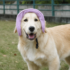 Chapeau de soleil La Guinguette pour chien, coloris Violet, Maison Pattounes, vue 2