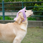 Chapeau de soleil La Guinguette pour chien, coloris Violet, Maison Pattounes, vue 4