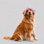 La Guinguette · Chapeau de soleil pour chien