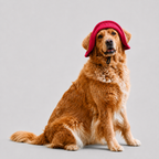 La Guinguette · Chapeau de soleil pour chien