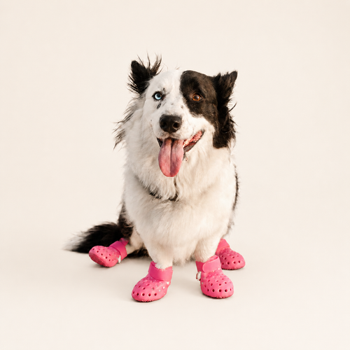 L'Estival — Bottes ajourées pour chien