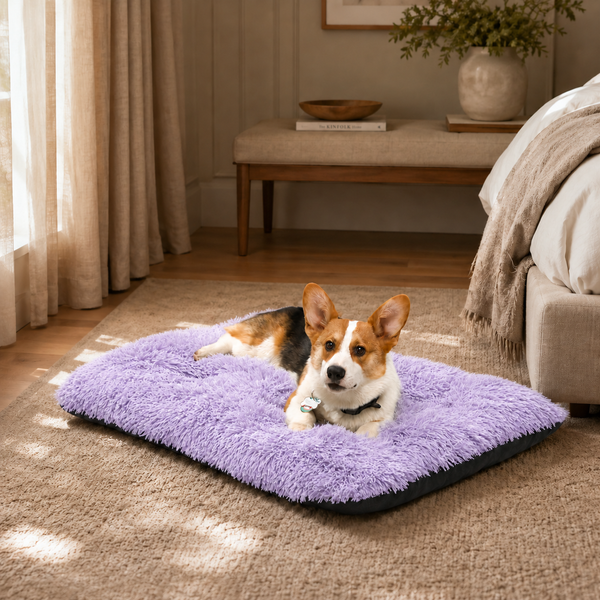 Lit moelleux chaud Le Nuage pour chien, coloris Violet Dégradé, Maison Pattounes