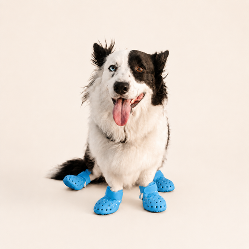L'Estival — Bottes ajourées pour chien