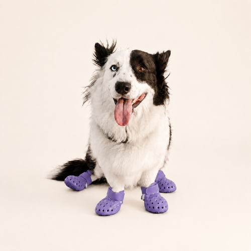 L'Estival — Bottes ajourées pour chien