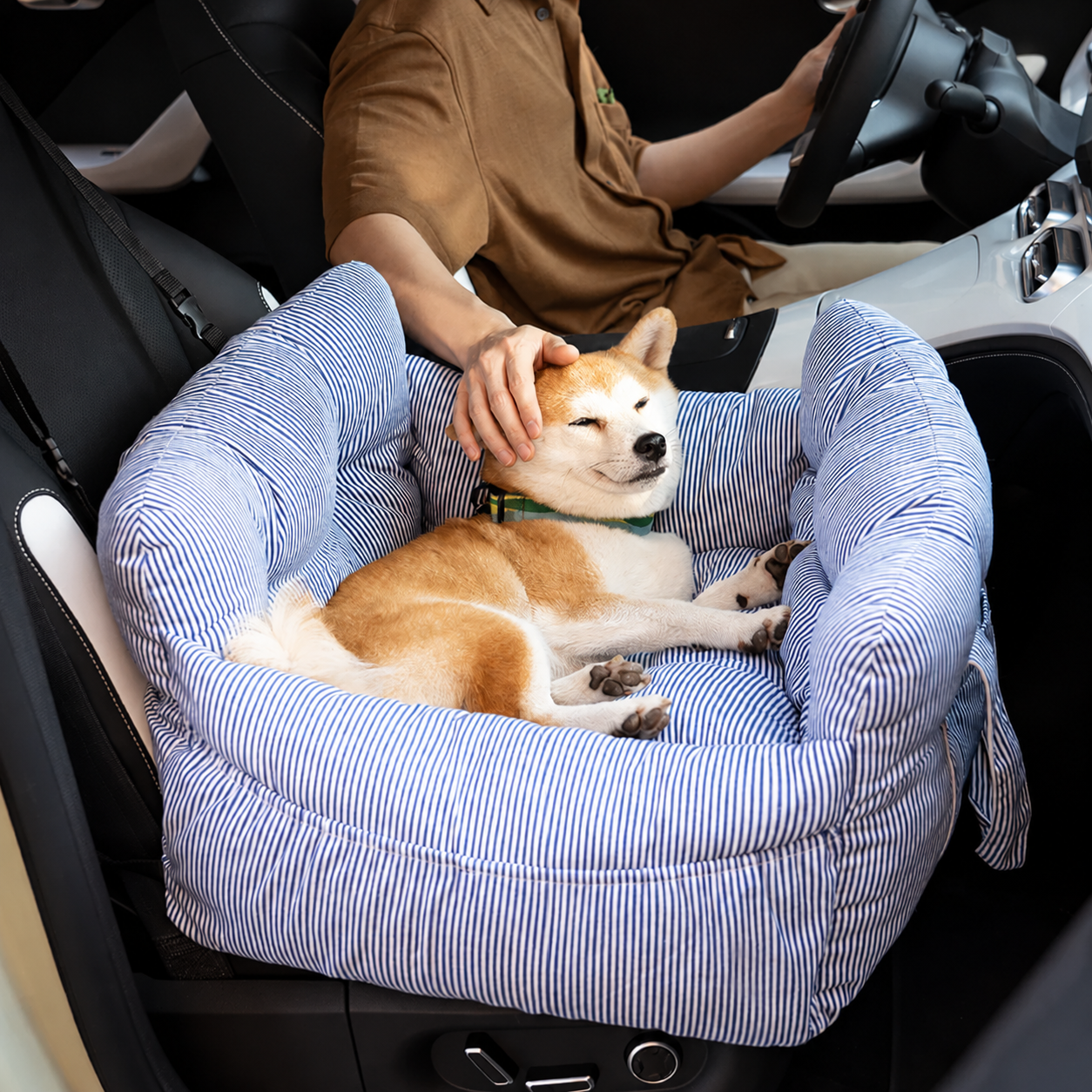 Le Roadtrip — Siège voiture pour chien