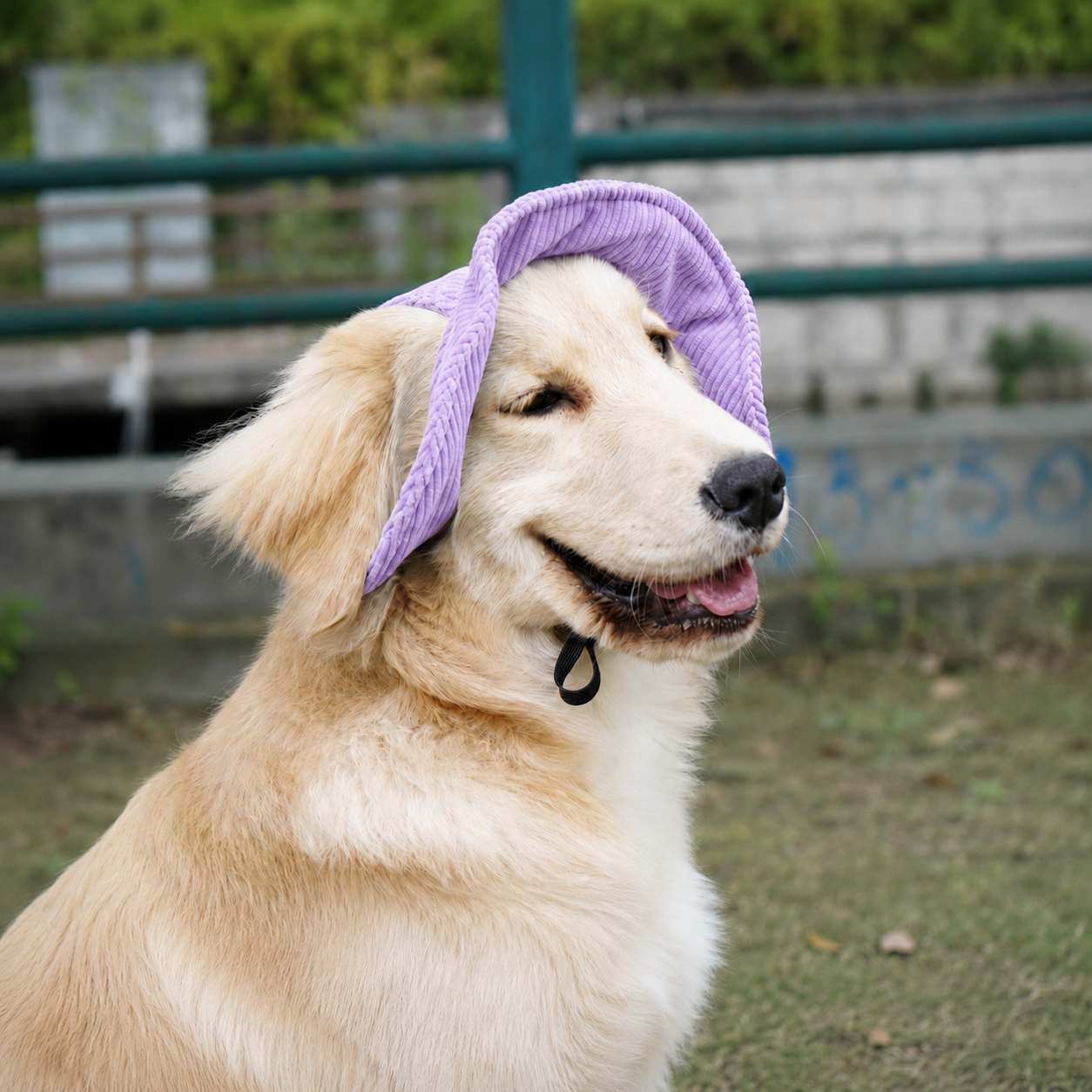 La Guinguette — Chapeau de soleil pour chien