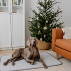 La Banquise · Tapis rafraîchissant pour chien