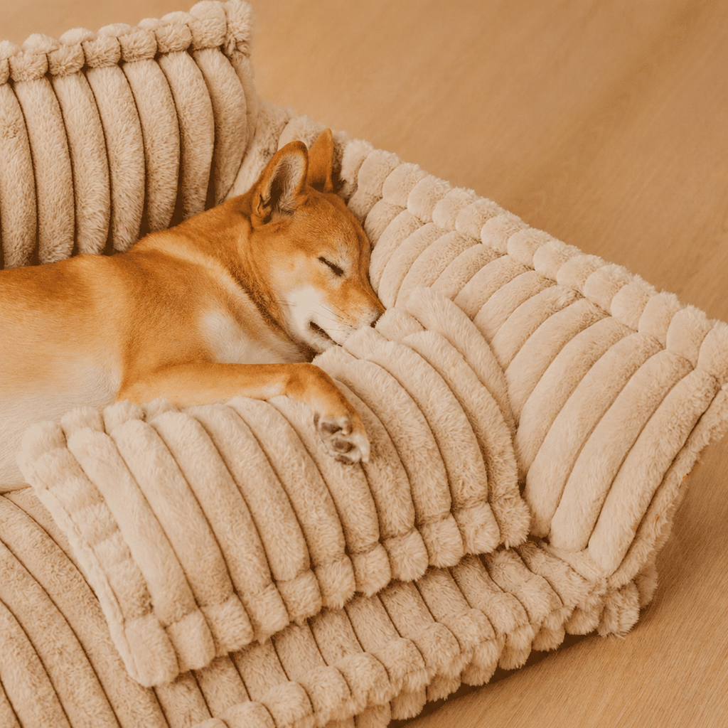 Canapé moelleux pour chien Le Boudoir Camel — vue de profil