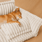Canapé moelleux pour chien Le Boudoir Ivoire — vue de profil