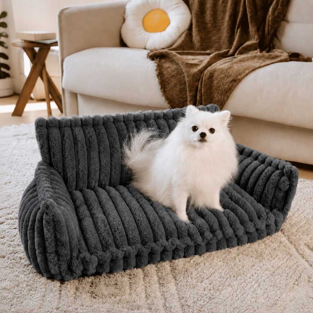 Canapé moelleux pour chien Le Boudoir Anthracite — mise en situation salon