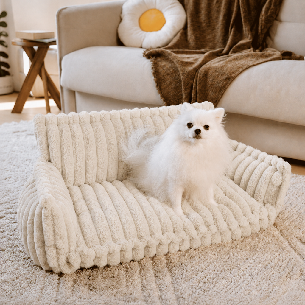 Canapé moelleux pour chien Le Boudoir Ivoire — mise en situation salon