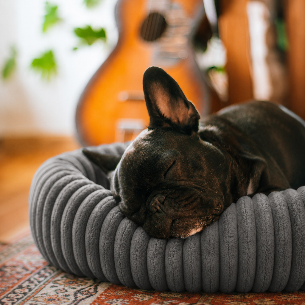 Panier moelleux Le Cocon pour chien, coloris Gris perle, Maison Pattounes, vue 3