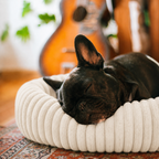 Panier moelleux Le Cocon pour chien, coloris Crème ivoire, Maison Pattounes, vue 3