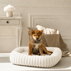 Panier moelleux Le Cocon pour chien, coloris Crème ivoire, Maison Pattounes, vue 1