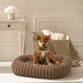 Panier moelleux Le Cocon pour chien, coloris Marron noisette, Maison Pattounes, vue 1