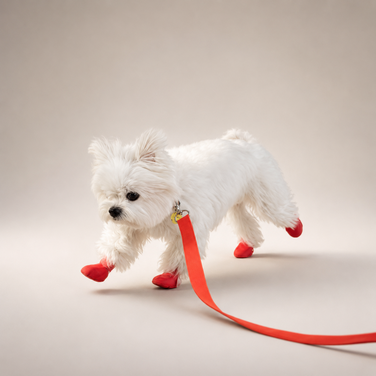 Bottes de pluie L'Ondée pour chien, coloris Rouge, Maison Pattounes, vue 2